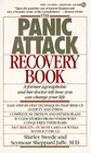 The Panic Attack Recovery Book  A Former Agoraphobic and Her Doctor Tell How You Can ChangeYour Life