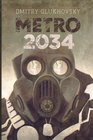 Metro 2034 Illustrated edition