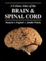 A Colour Atlas of the Brain and Spinal Cord