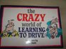 The Crazy World of Learning to Drive