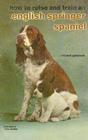 How to Raise and Train an English Springer Spaniel
