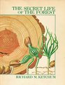The secret life of the forest