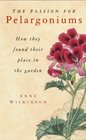 The Passion for Pelargoniums How They Found Their Place in the Garden
