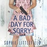 A Bad Day for Sorry A Crime Novel