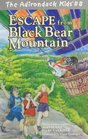 Escape from Black Bear Mountain (The Adirondack Kids, Vol. 8)