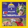 Doggy Defenders Willow the Therapy Dog