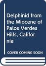 Delphinid from the Miocene of Palos Verdes Hills California