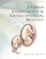 Human Embryology  Developmental Biology