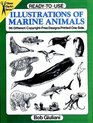 ReadytoUse Illustrations of Marine Animals  96 Different CopyrightFree Designs Printed One Side