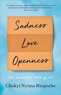 Sadness Love Openness The Buddhist Path of Joy