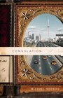 Consolation: A Novel