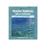 Marine Habitats Life in Saltwater