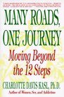 Many Roads One Journey: Moving Beyond the 12 Steps