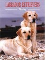 Labrador Retrievers Today