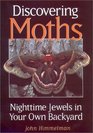 Discovering Moths: Nighttime Jewels in Your Own Backyard