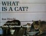 What Is a Cat?