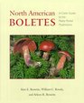 North American Boletes A Color Guide to the Fleshy Pored Mushrooms