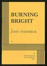Burning Bright: A Play in Story Form