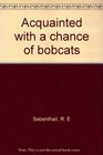 Acquainted with a chance of bobcats