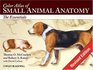 Color Atlas of Small Animal Anatomy The Essentials