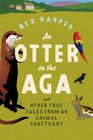 An Otter on the Aga