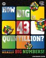 How Big Is 43 Quintillion