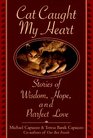 Cat Caught My Heart Stories of Wisdom Hope and Purrfect Love