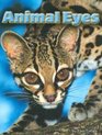 Animal Eyes