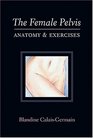 The Female Pelvis Anatomy  Exercises
