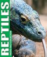 Reptiles Photo Fact Collection
