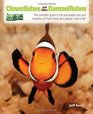 Clownfishes and Other Damselfishes The Complete Guide to the Successful Care and Breeding of These Spectacular and Popular Marine Fish