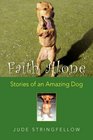 Faith Alone Stories of an Amazing Dog