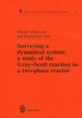 Surveying a Dynamical System A Study of the GrayScott Reaction in a TwoPhase Reactor