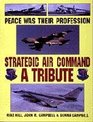 Peace Was Their Profession Strategic Air Command A Tribute