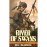 River of Swans  (Spanish Bit  Saga, No 10)