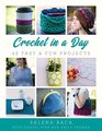 Crochet in a Day 42 Fast  Fun Projects