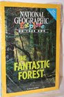 Explore On Your Own Earth Science Pioneer The Fantastic Forest