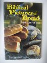 Biblical Pictures of Bread