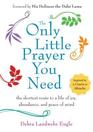The Only Little Prayer You Need The Shortest Route to a Life of Joy Abundance and Peace of Mind
