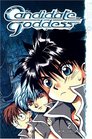 The Candidate for Goddess Vol 2