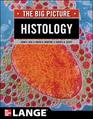 Histology The Big Picture