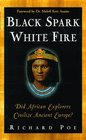 Black Spark White Fire  Did African Explorers Civilize Ancient Europe