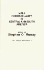 Male Homosexuality in Central and South America