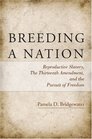 Breeding a Nation: Reproductive Slavery, the Thirteenth Amendment, and the Pursuit of Freedom