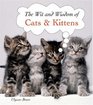 Cats and Kittens