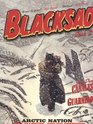 Blacksad Volume 2