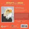 Beauty and the Beak How Science Technology and a 3DPrinted Beak Rescued a Bald Eagle