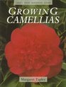 Growing Camellias
