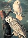 First Impressions John James Audubon