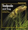 Stopwatch Tadpole and Frog Big Book